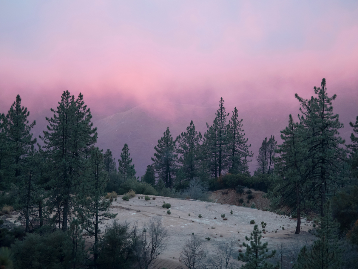 Real Interactiv – Strategy and Management